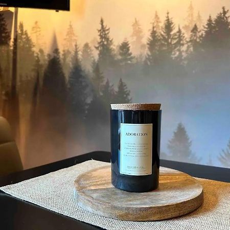 Studio Facon Chalet Montagnard - Hyper Centre Gerardmer Ngoại thất bức ảnh
